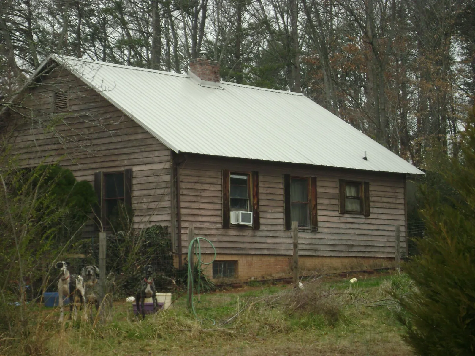 White metal roof on an old wood sided farmhouse, from a Metal Roof Installation job in Roulette